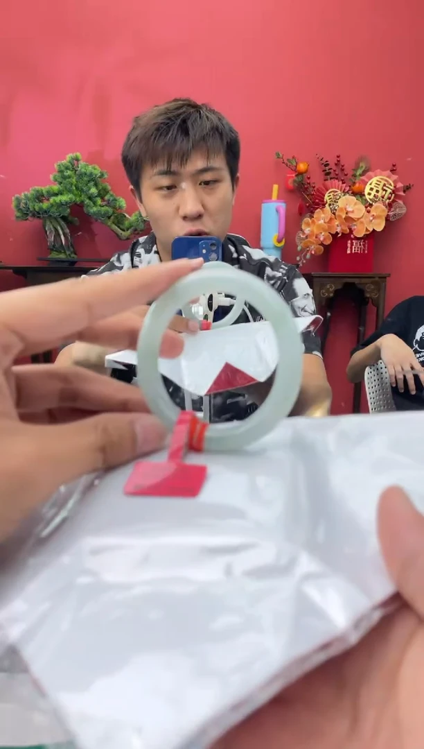 未镶嵌手镯翡翠2