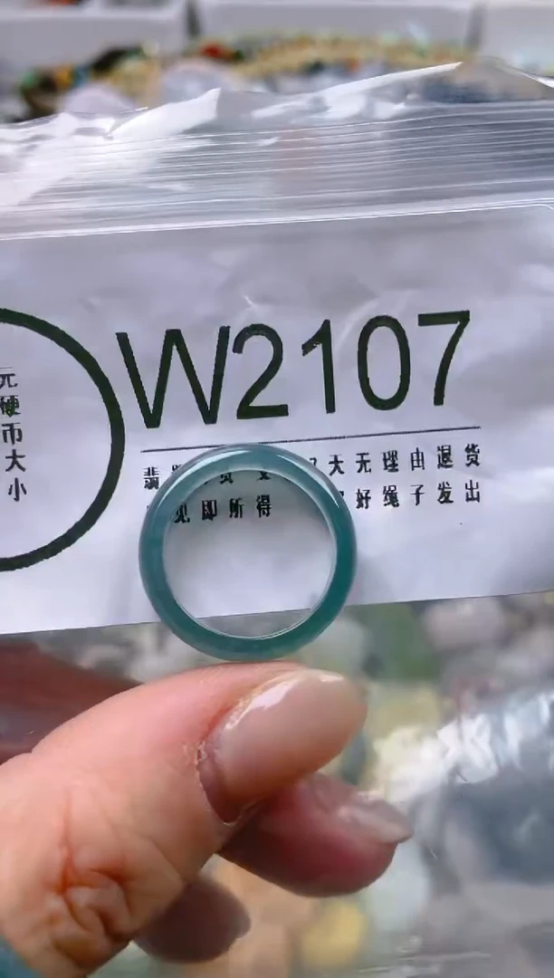 【闪购商品】翡翠颈饰未镶嵌/W/翡翠A货一图一物