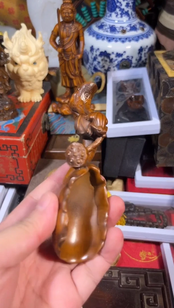 黄杨木11111111111111111