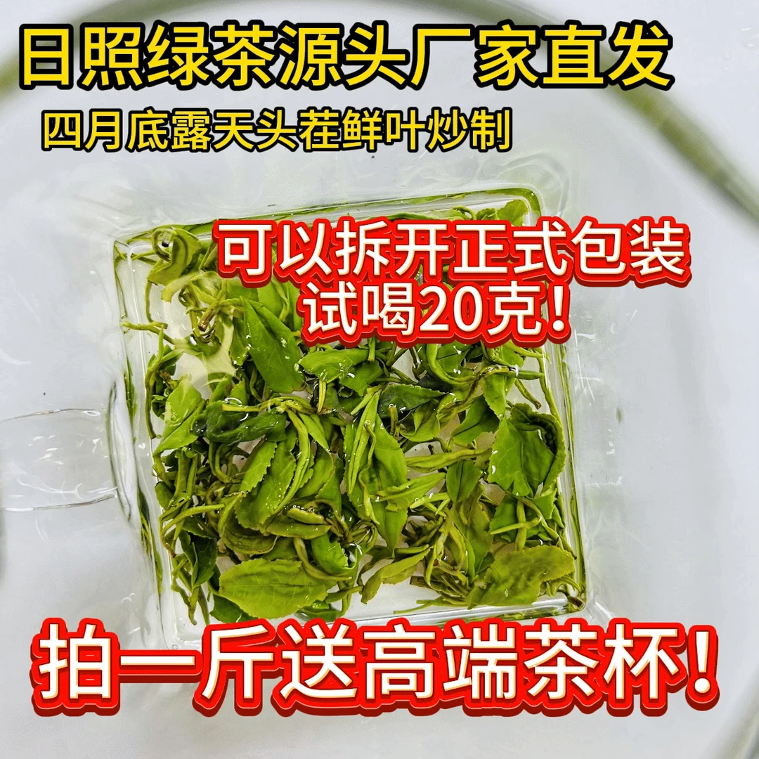 【早春茶 一芽一叶】日照绿茶2025.4月一芽一叶占比率高兰花鲜豆香
