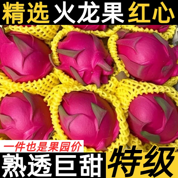 金都一号红心火龙果新鲜香甜种植新鲜整箱水果应季广西海南水果