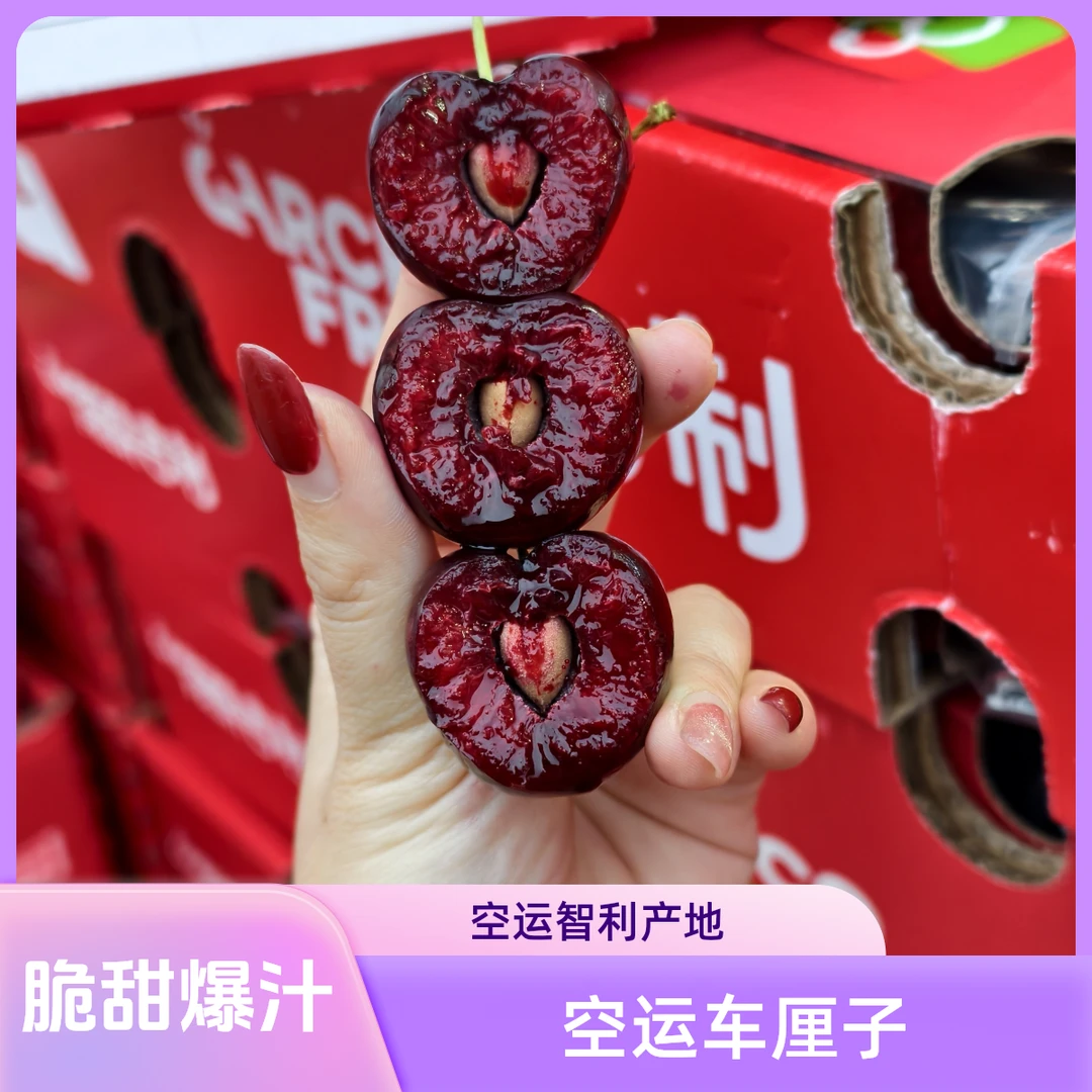 【韩美丽专属】三藩市空运吉制智利3J车厘子桑提娜甜多汁内附果径卡
