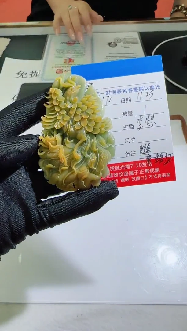 未镶嵌定制翡翠LX72翡翠吊坠赠珠链-多样性发其一