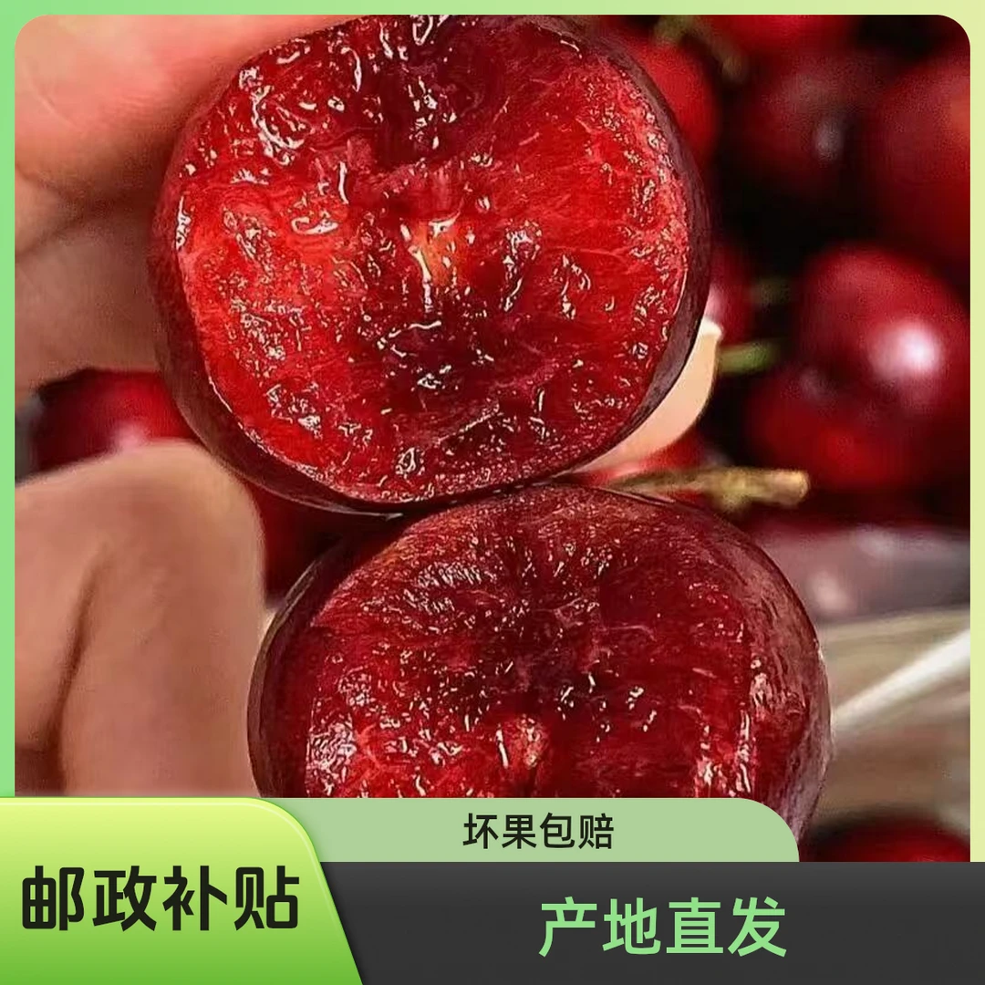 【邮政助农补贴】新鲜采摘山东美早大樱桃应季冷链产地直发应季水果