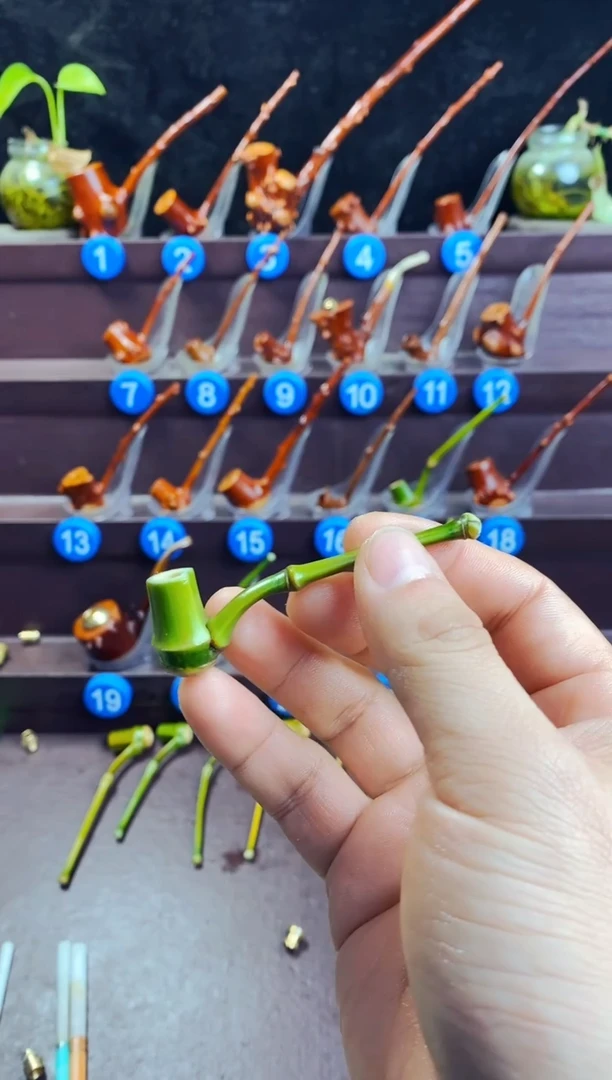 木@**孩檬子木的精品小斗