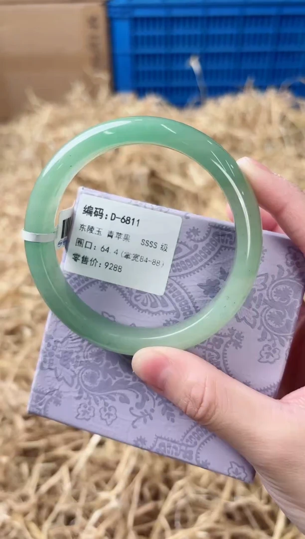 未镶嵌手镯石英质玉D-6811