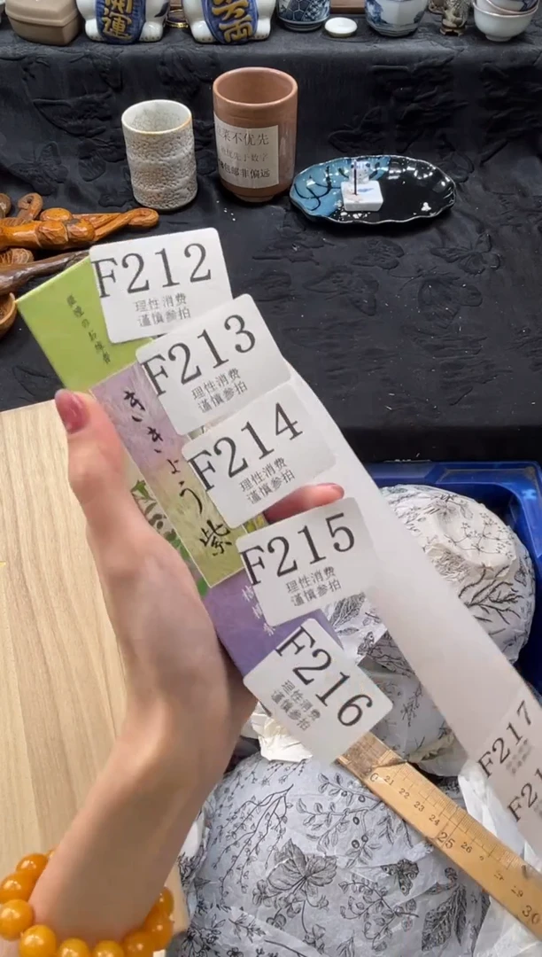 瓷片       F218