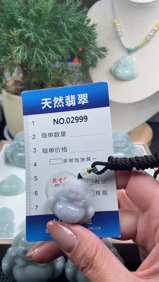 颈饰未镶嵌翡翠纯天然A货翡翠2999