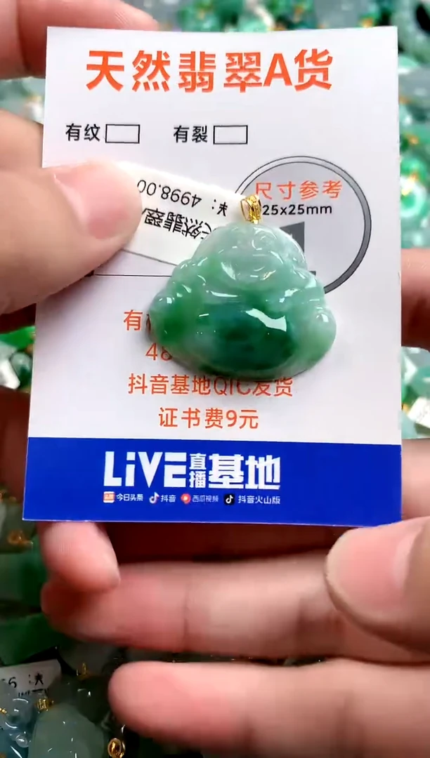 颈饰未镶嵌翡翠0298586319