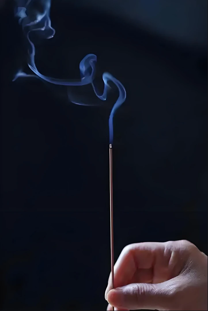 禅猫香舍 尊品棋楠短线香 香薰香料