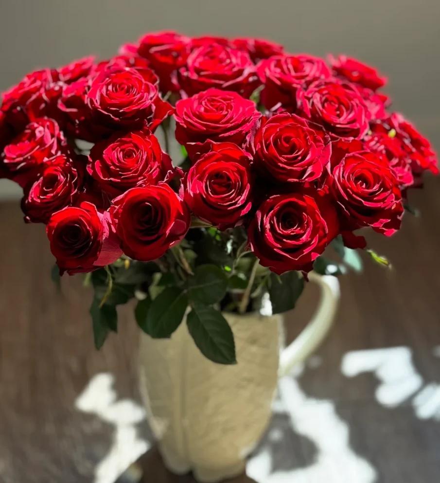 【1单包邮】高原红玫瑰  生活鲜花  昆明基地直发