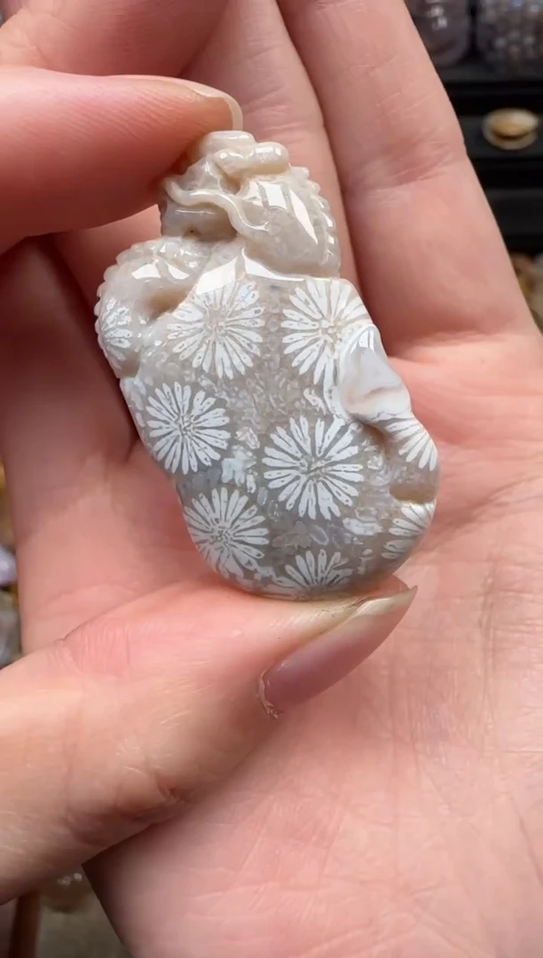 颈饰未镶嵌硅化珊瑚（珊瑚玉）368