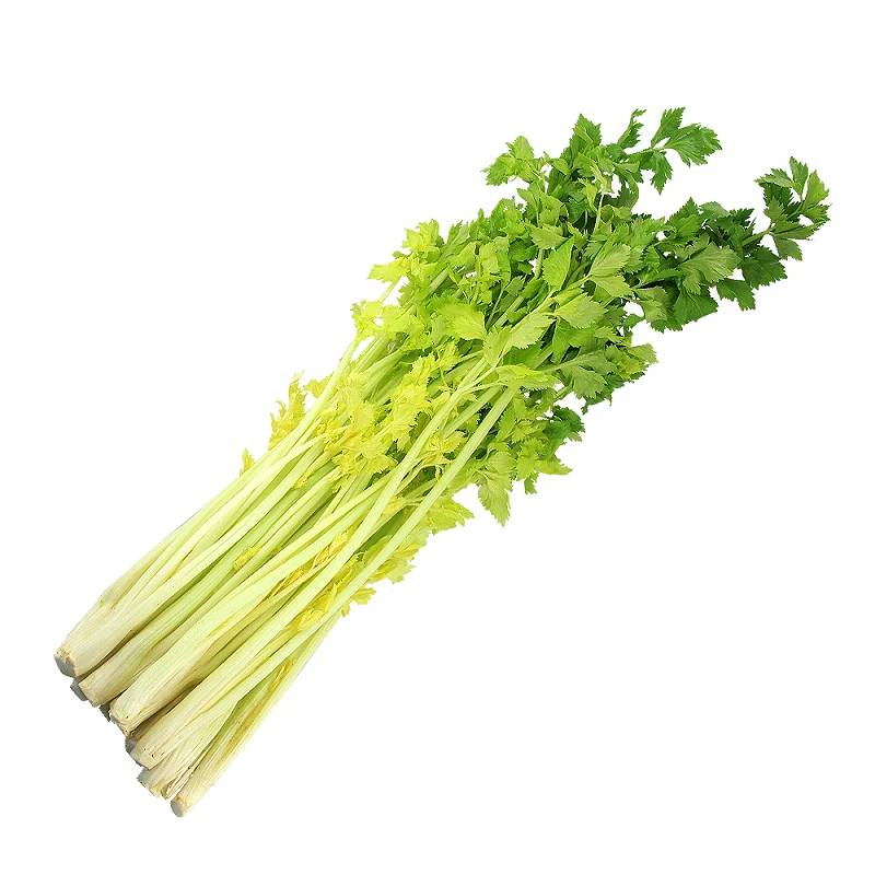 桂河奶油芹菜550g/份