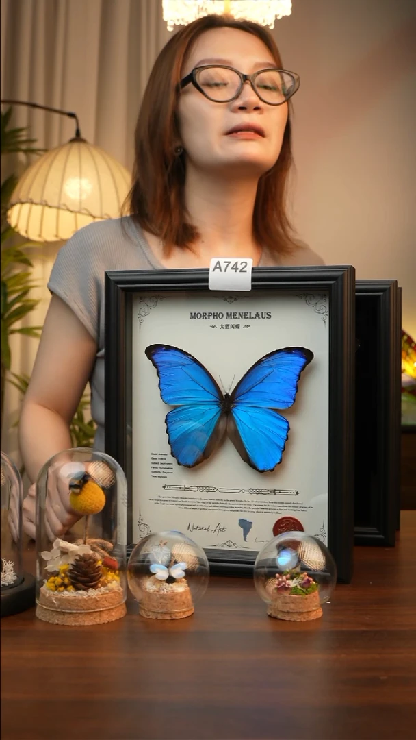 哐*。大蓝闪蝶-英文（10寸欧式黑框）A742