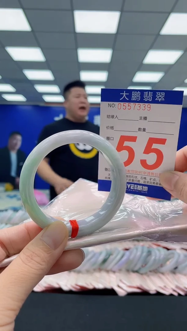 未镶嵌手镯翡翠AAAAAAAAA