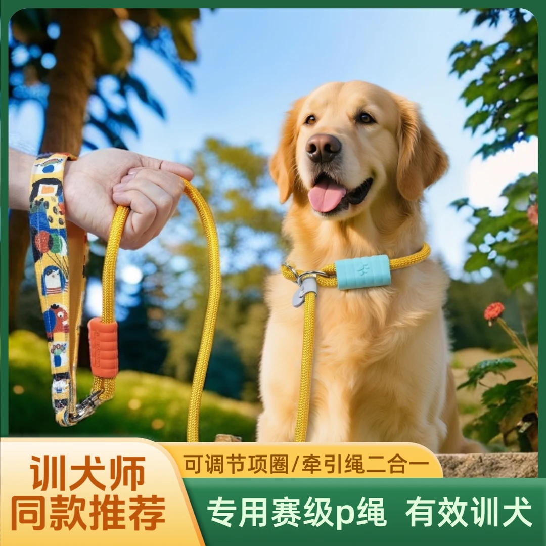 赛级狗狗牵引绳p绳外出牵引绳项圈小型犬大狗防爆冲狗链遛狗柴犬