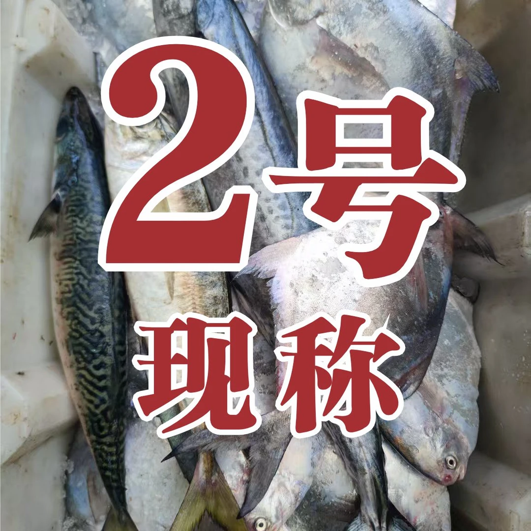 2号 现称现卖链接 热气海鲜 新鲜发货