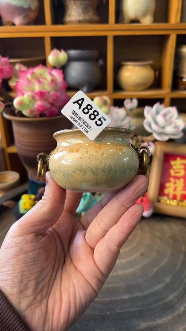 885 内口5【多肉花盆多肉盆】