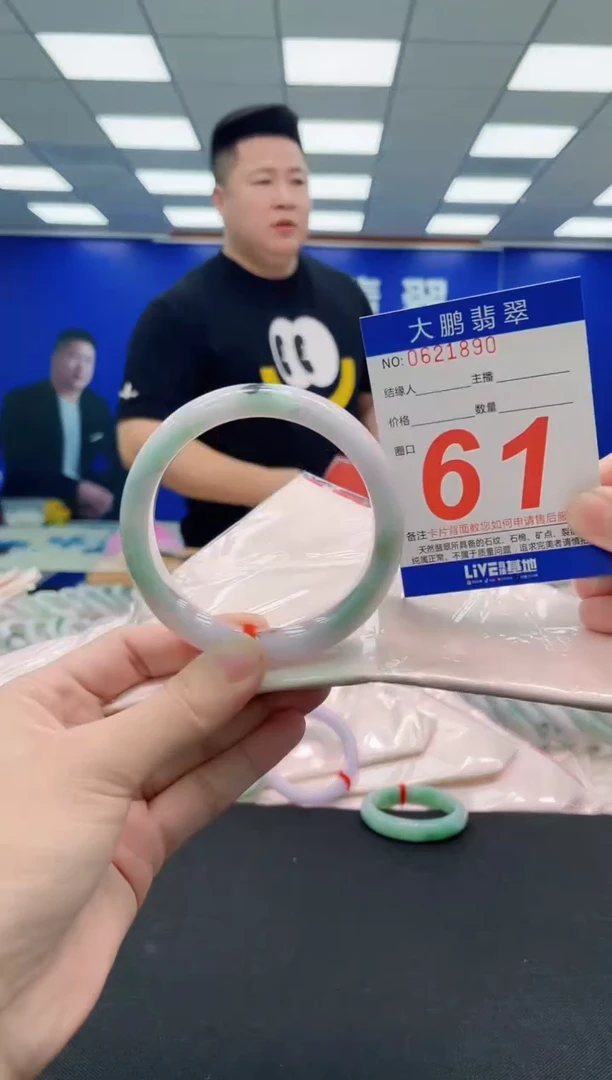 未镶嵌手镯翡翠AAAAAAAAA
