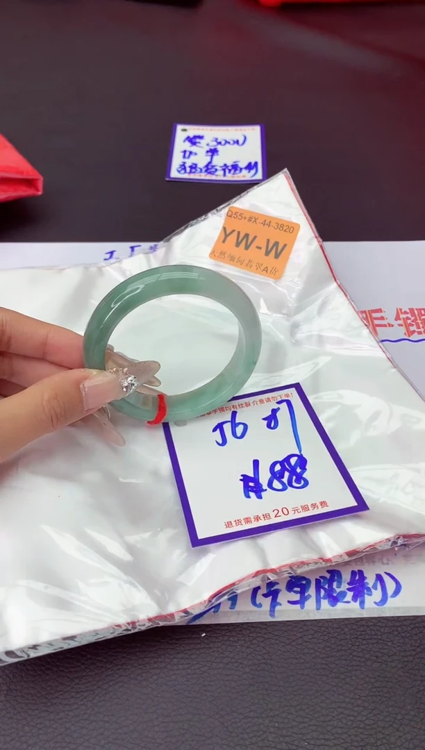 未镶嵌手镯翡翠11111111