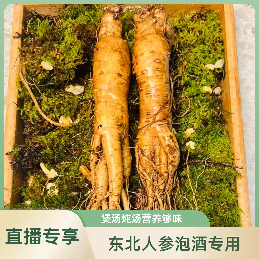 东北新鲜人参90g左右现采现挖泡酒煲汤百搭空运到家