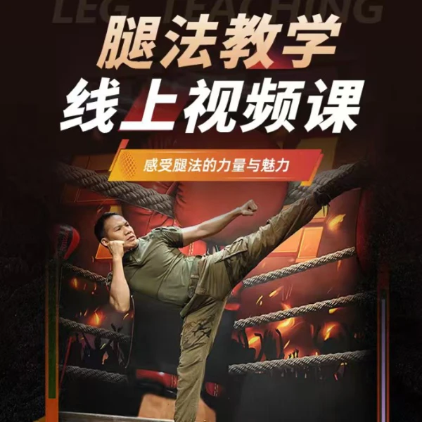 腿法技术线上视频课