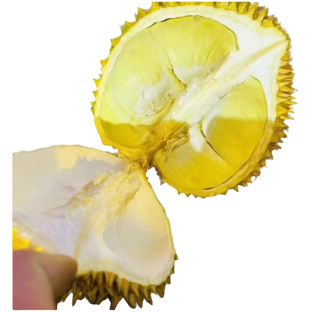 新鲜泰国榴莲肉800克核小榴莲同城送树熟泰国