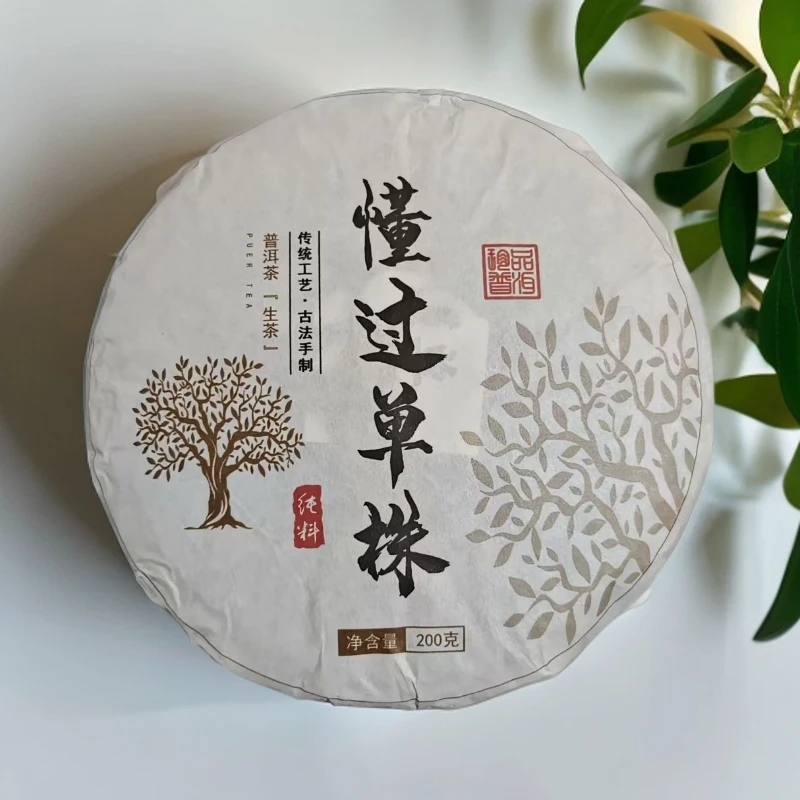 「懂过单株」闻香就能识茶 2024年  普洱生茶