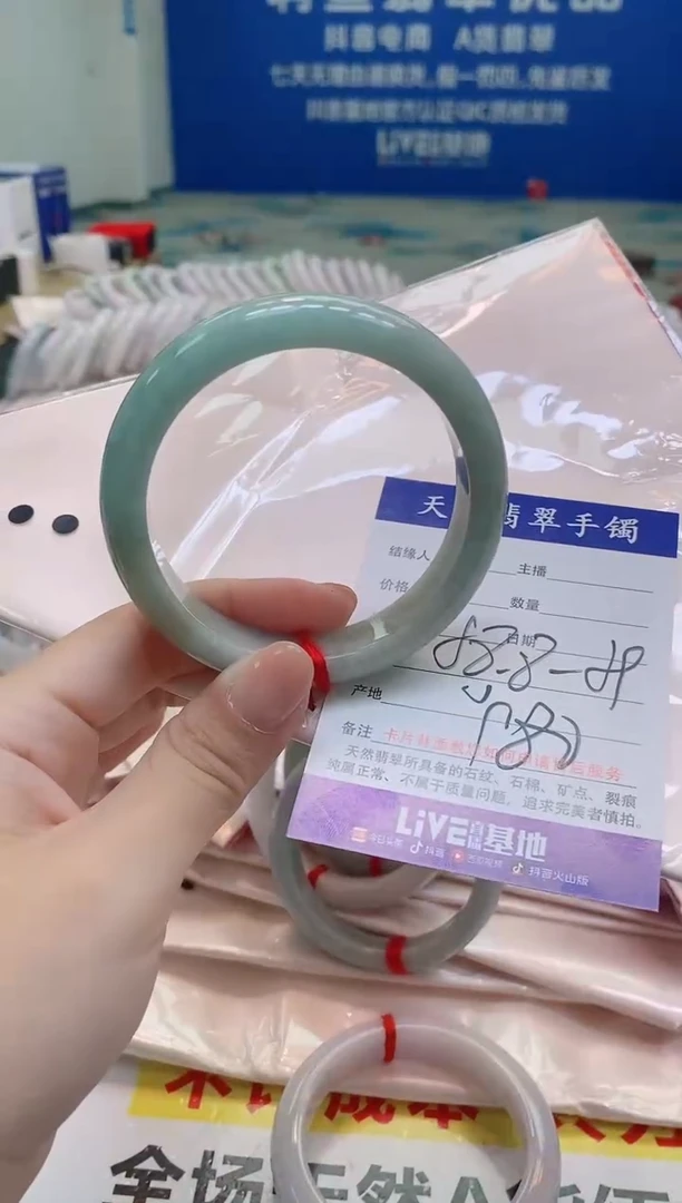 未镶嵌手镯翡翠801