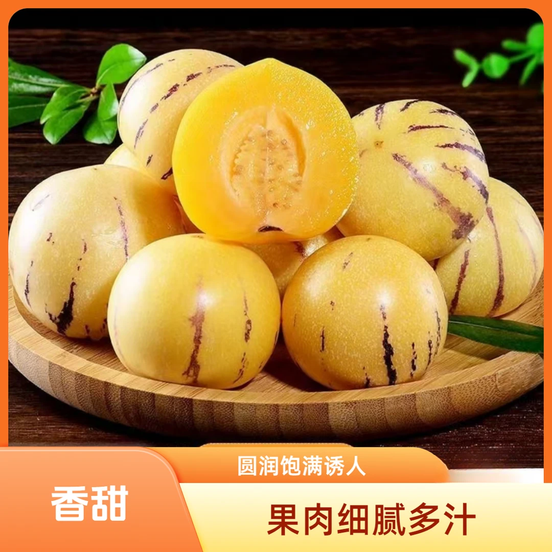 云南新鲜人参果树上熟新鲜水果香甜爆汁果香浓郁应季低糖水果