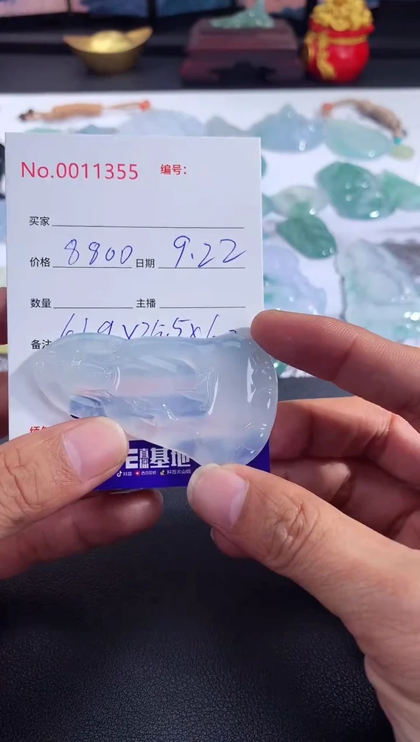 颈饰未镶嵌翡翠素衣