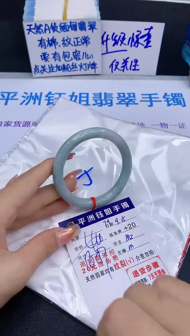 未镶嵌手镯翡翠11111