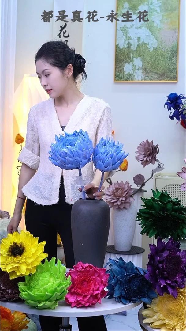 永生洋蓟天蓝2头2036