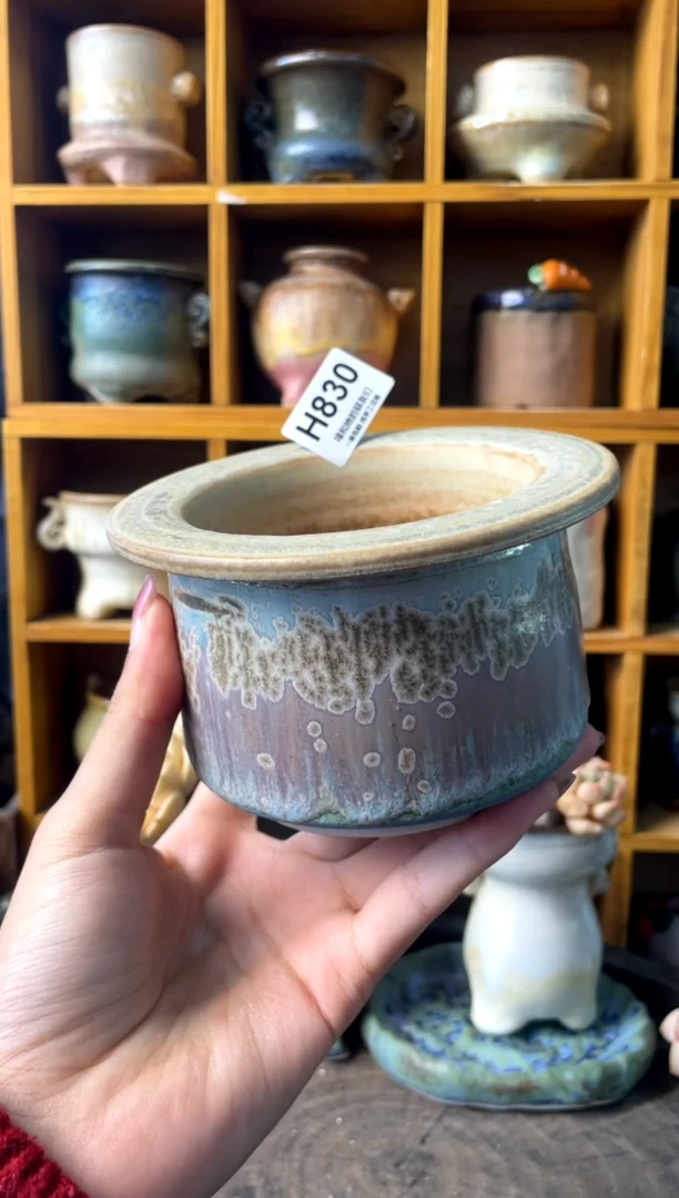 830【多肉花盆多肉盆】