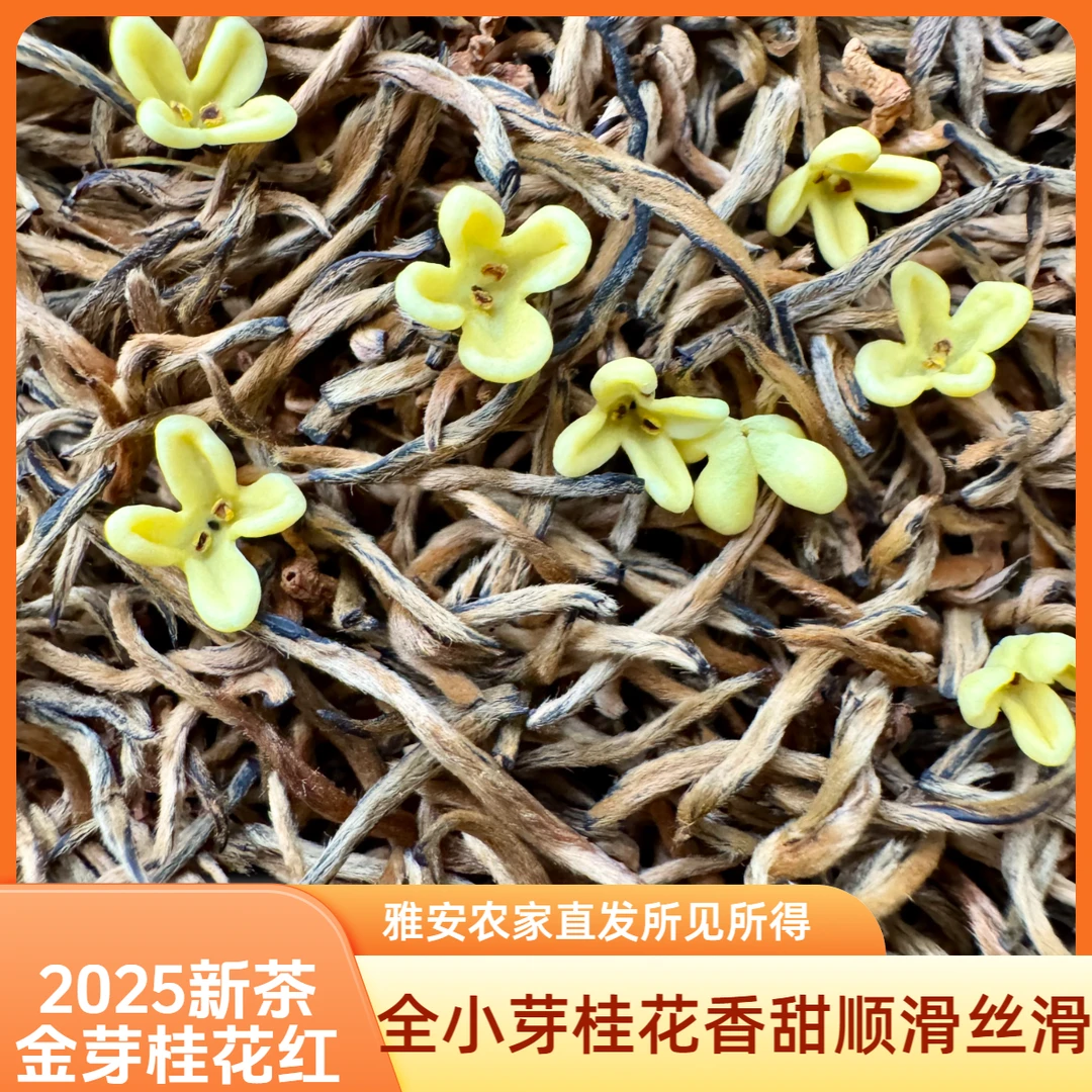 【金芽桂花红】全小芽桂花香甜丝滑四川雅安蒙顶高山农家茶中秋好礼