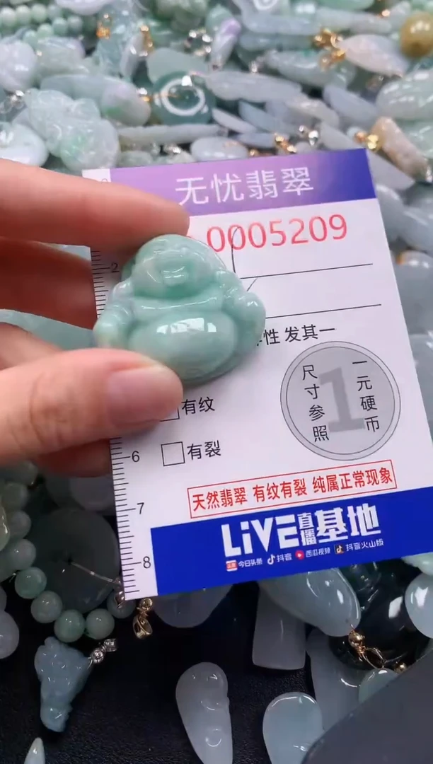 颈饰未镶嵌翡翠5209