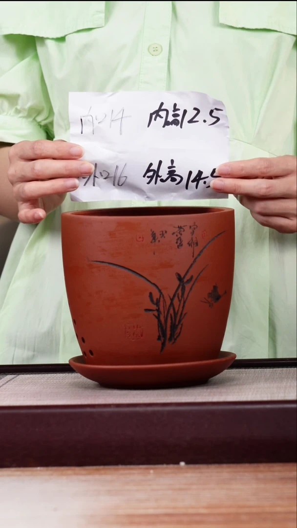 紫砂花盆清水泥君子兰2号一只带托