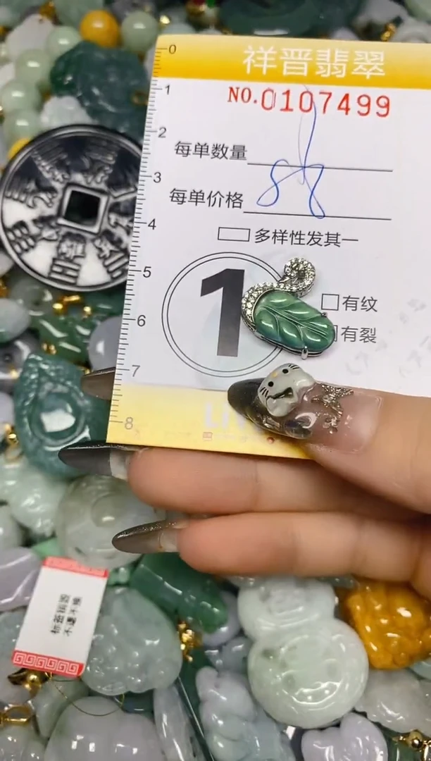 【闪购商品】翡翠颈饰未镶嵌闪购0107499