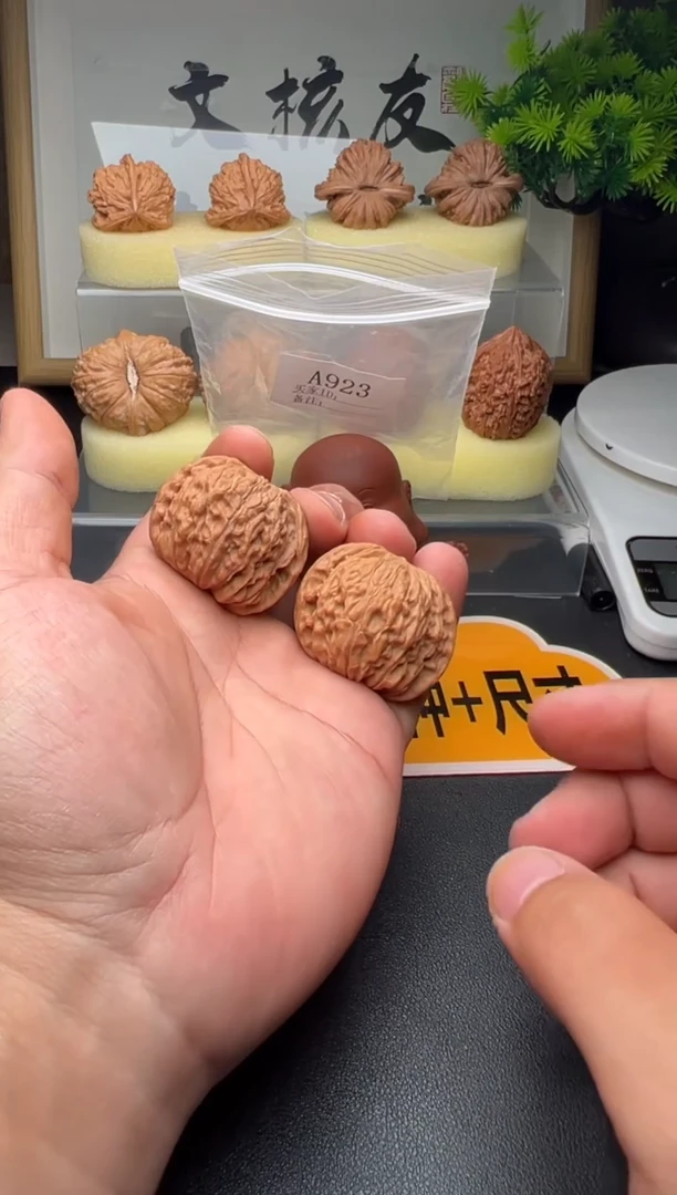 手串/手链核桃A923山地磨盘核桃40尺全品