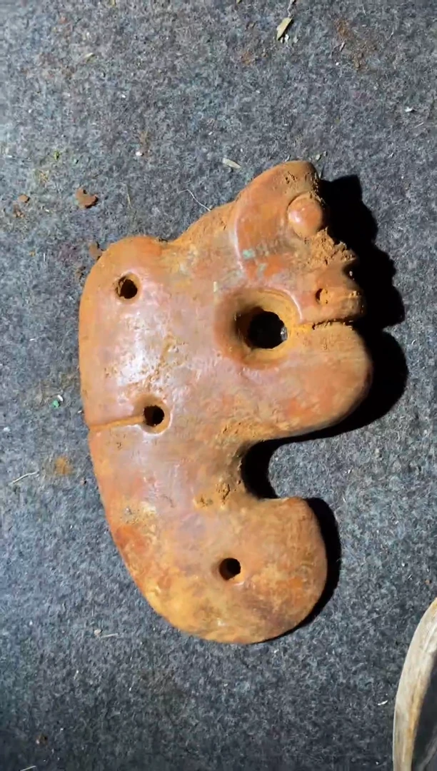 大哥，直播链接在这里，直接拍就可