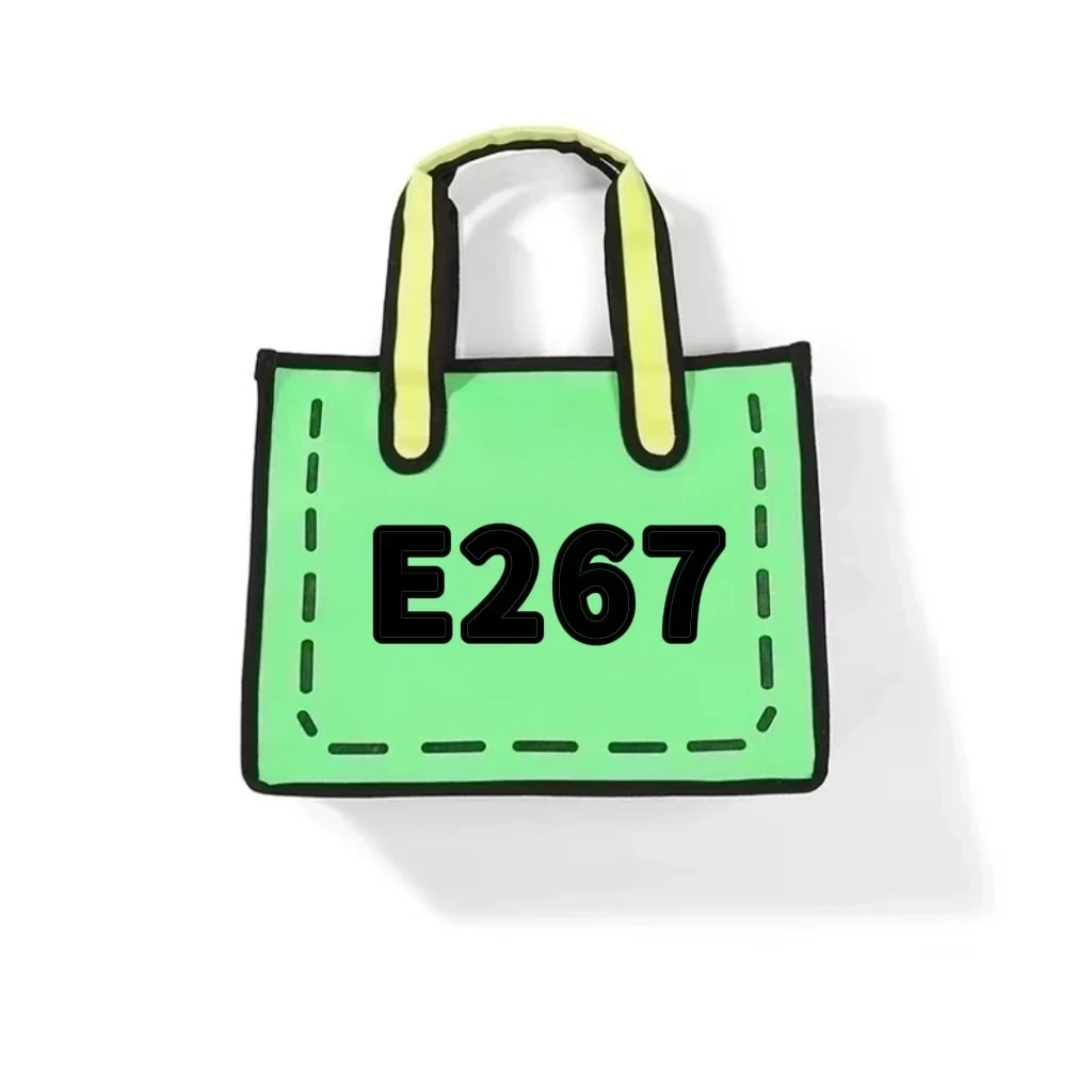 【E267】2025年新款大容量女包多功能斜挎包百搭单肩包