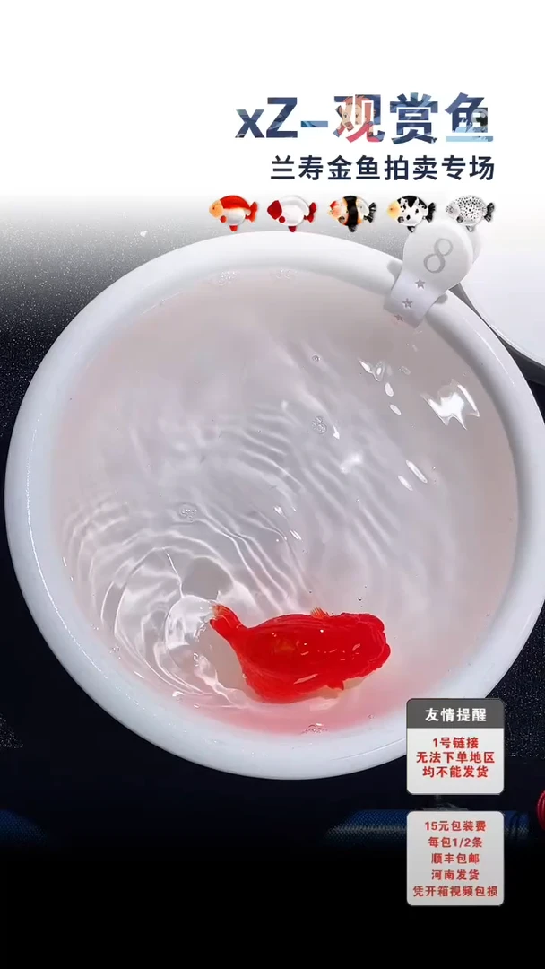 金鱼包装必拍未拍顺丰到付8号