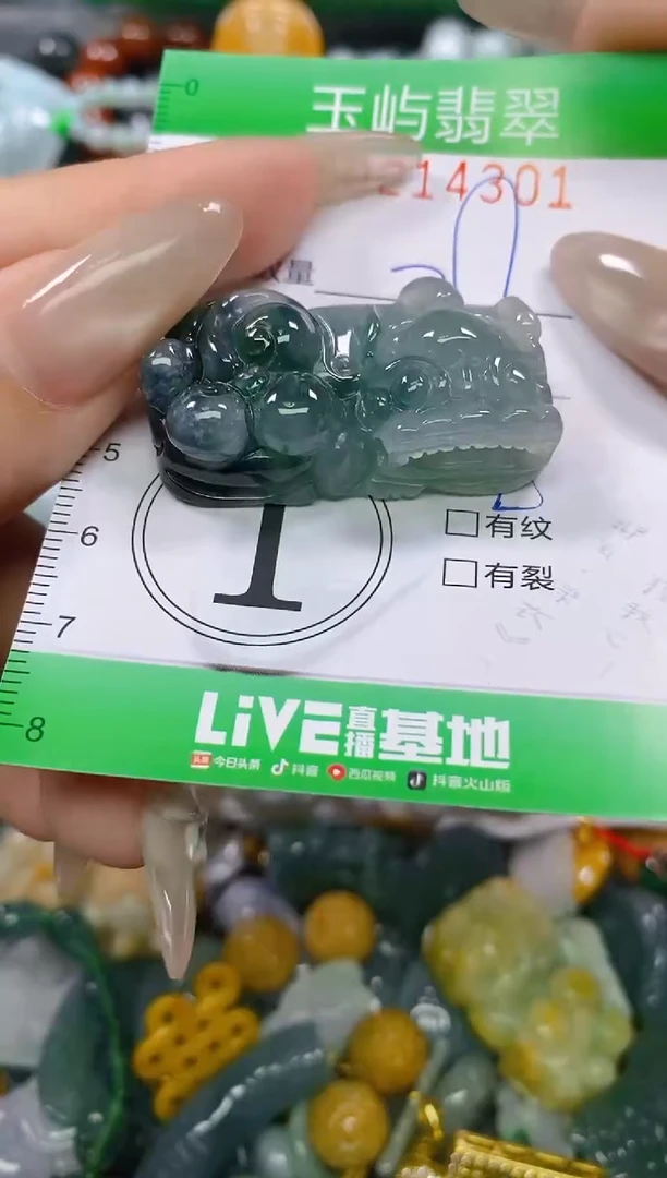 颈饰未镶嵌翡翠闪购0214301