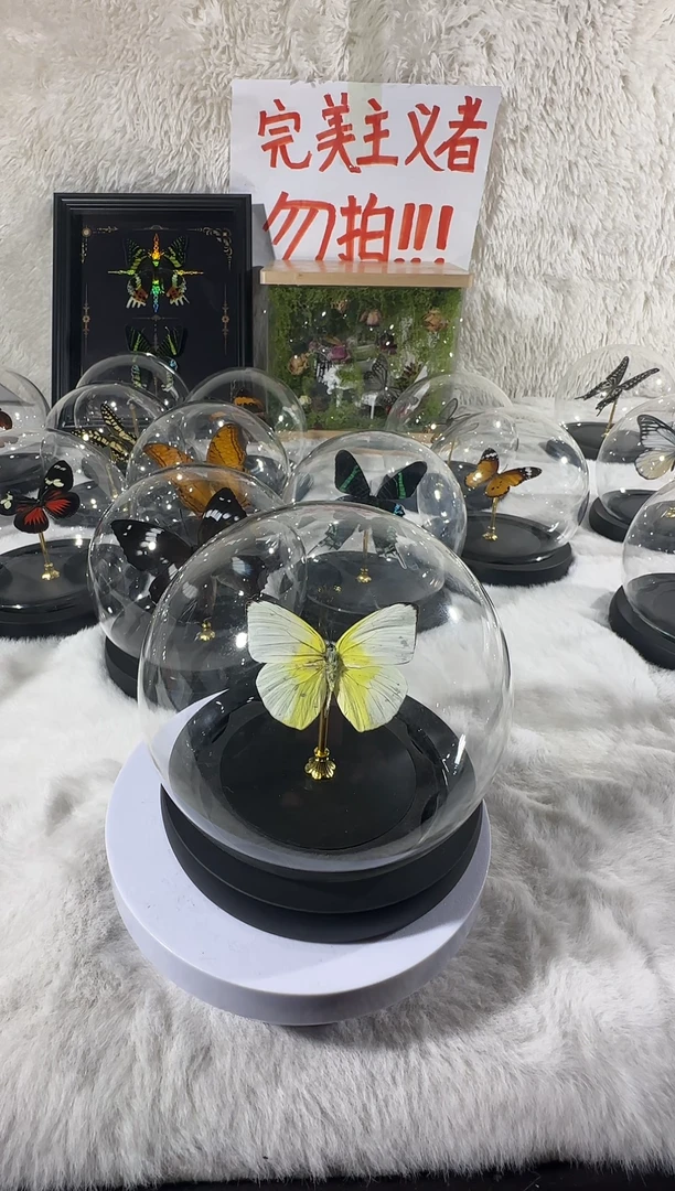 木迁粉蝶水晶球