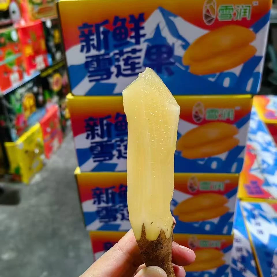 天山雪莲果1件【5斤装】