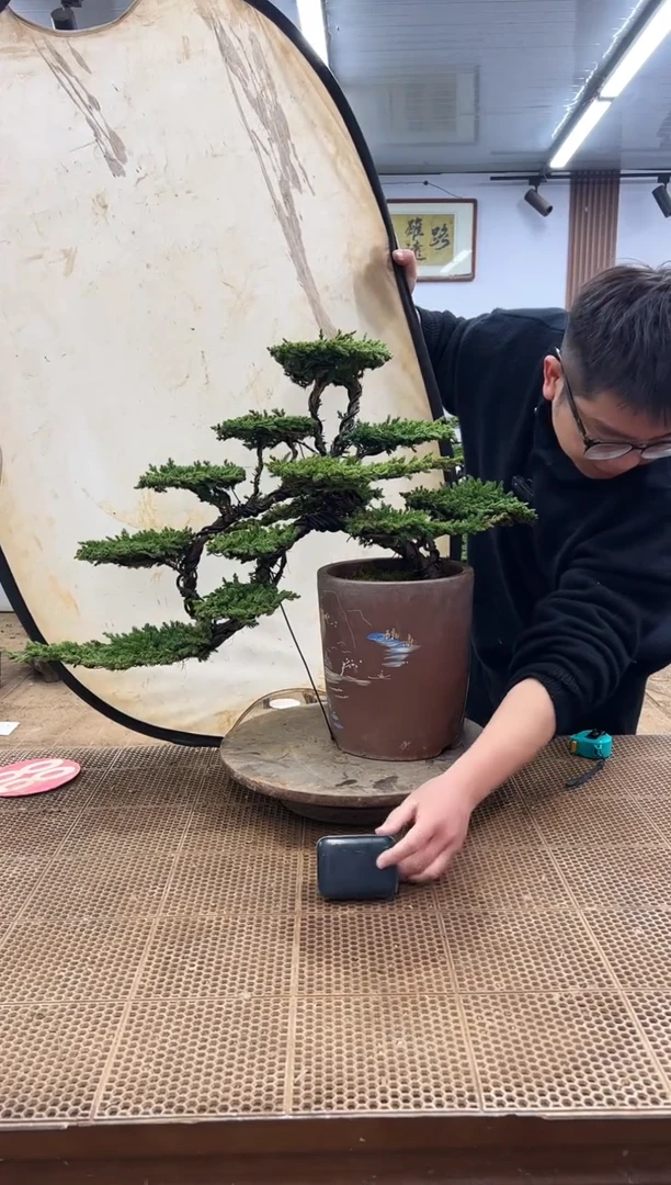 无花朵00000000000000