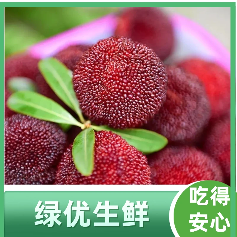 新鲜云南杨梅 约280g/盒