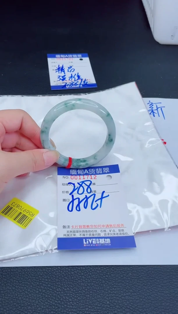 未镶嵌手镯翡翠我t1