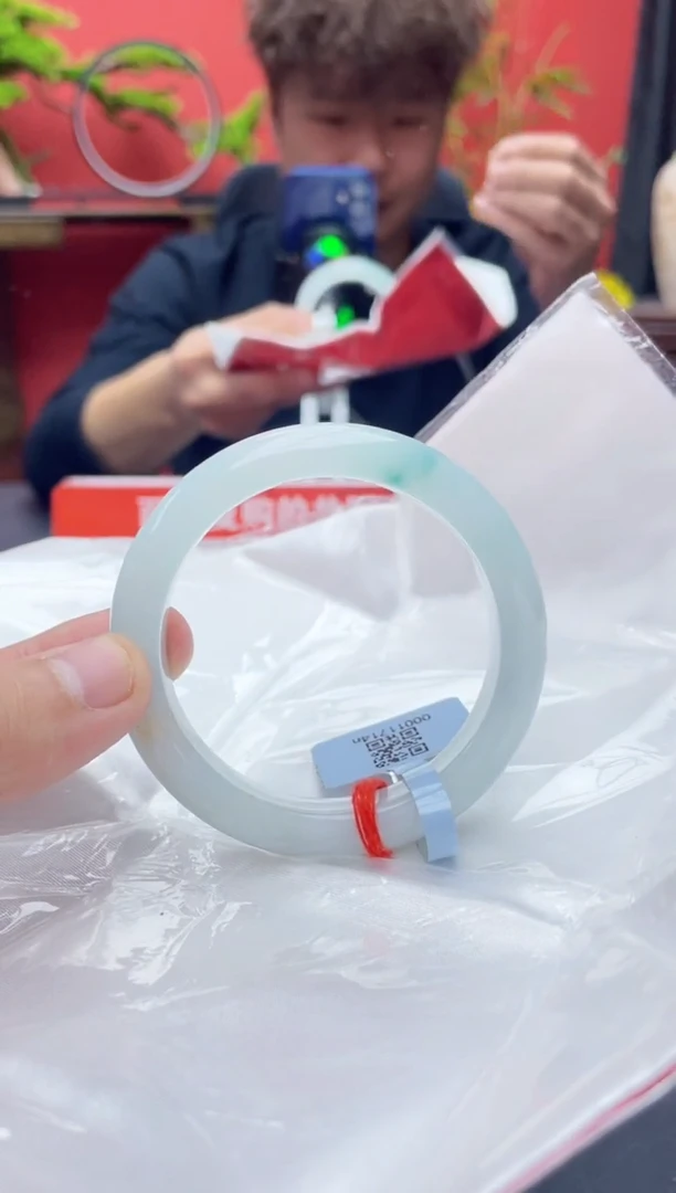 未镶嵌手镯翡翠5