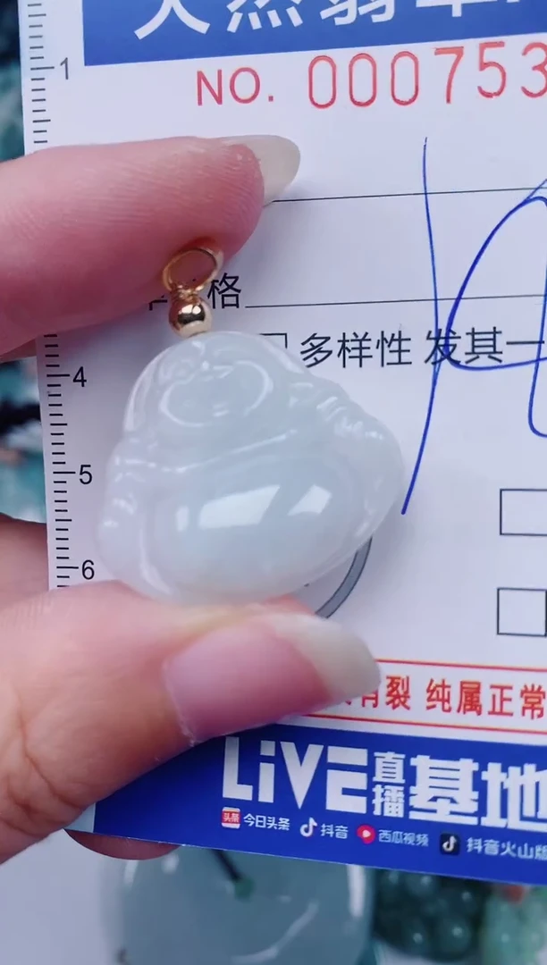 颈饰未镶嵌翡翠00007530